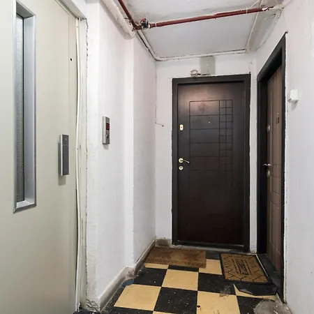 Apartment Borealis Calea Victoriei View Netflix Bucharest