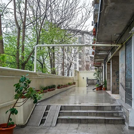 Borealis Calea Victoriei View Netflix *