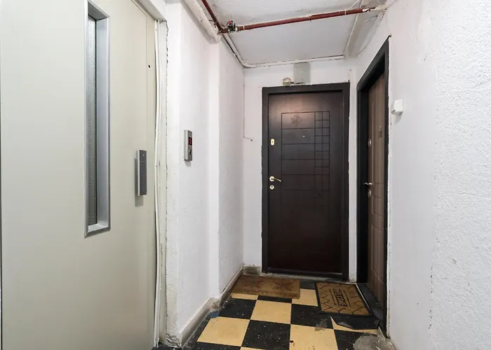 Apartament Borealis Calea Victoriei View Netflix Bucureşti