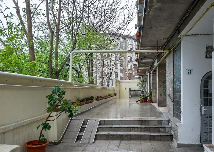 Borealis Calea Victoriei View Netflix *